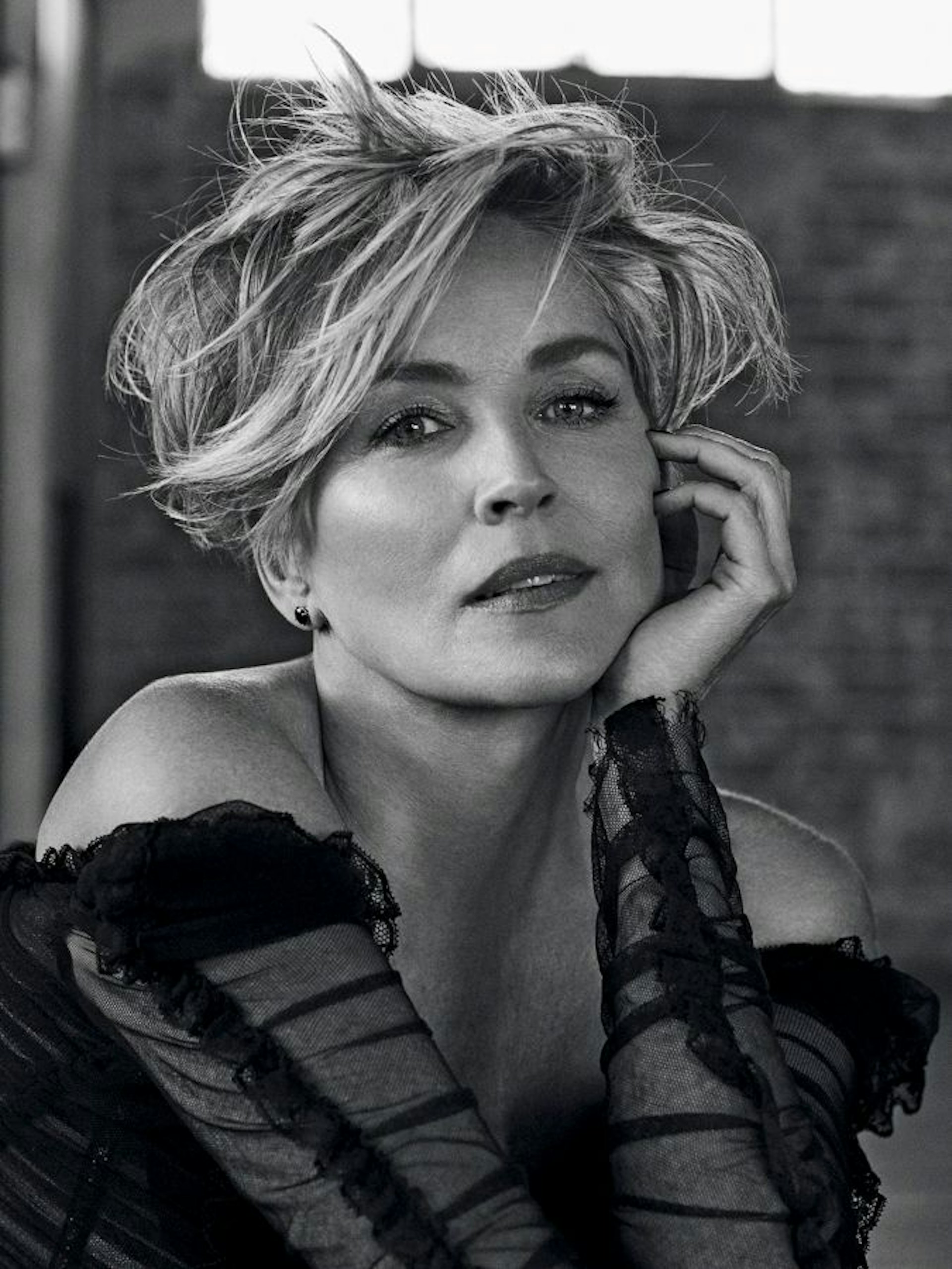 Portrait of Sharon Stone