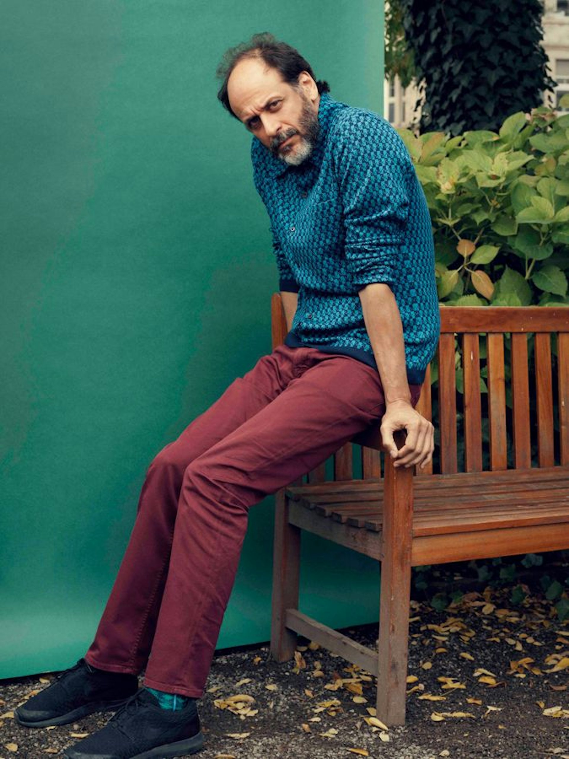 Picture of Luca Guadagnino